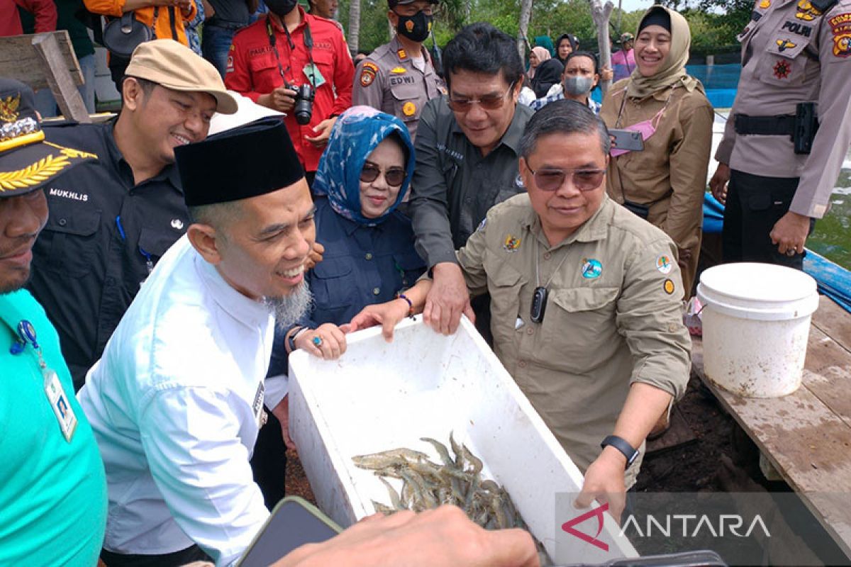 Nanas hingga udang jadi upaya pencegahan Karhutla di Riau