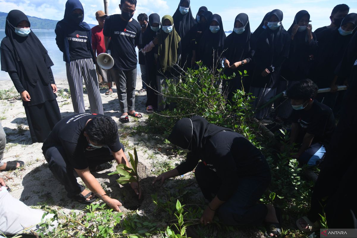 Ditpolairud Polda Banten tanam 1.000 batang pohon butun di Pantai Anyer