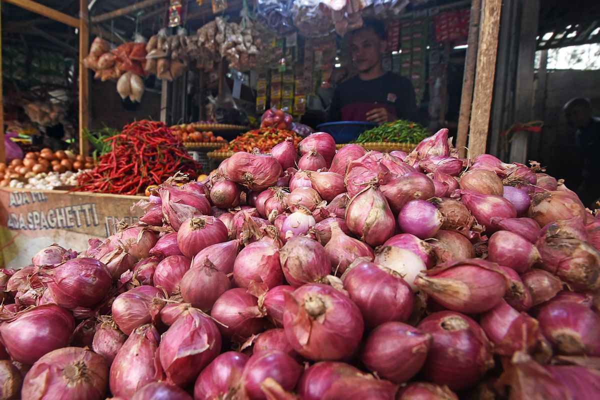 Harga bawang naik tajam di Banda Aceh, ini penyebabnya