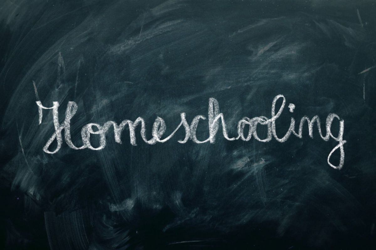 Kata Kak Seto  tentang "homeschooling" saat ini