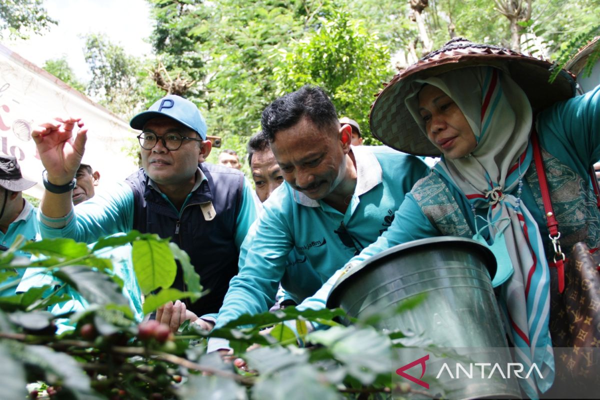 Dorong petani Situbondo jaga kualitas kopi lewat Festival Petik Kopi