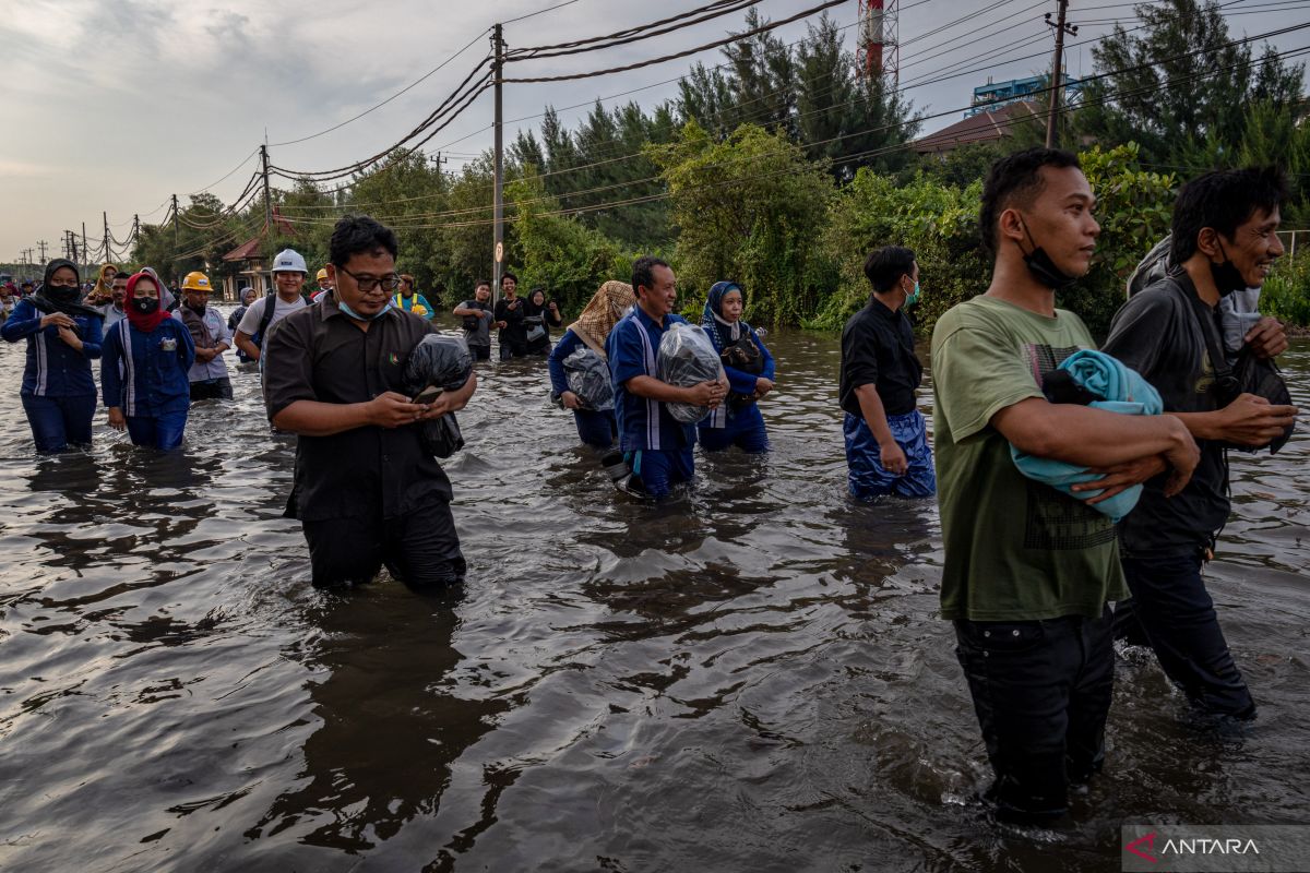 Akibat rob, Terminal Peti Kemas Semarang hentikan operasional