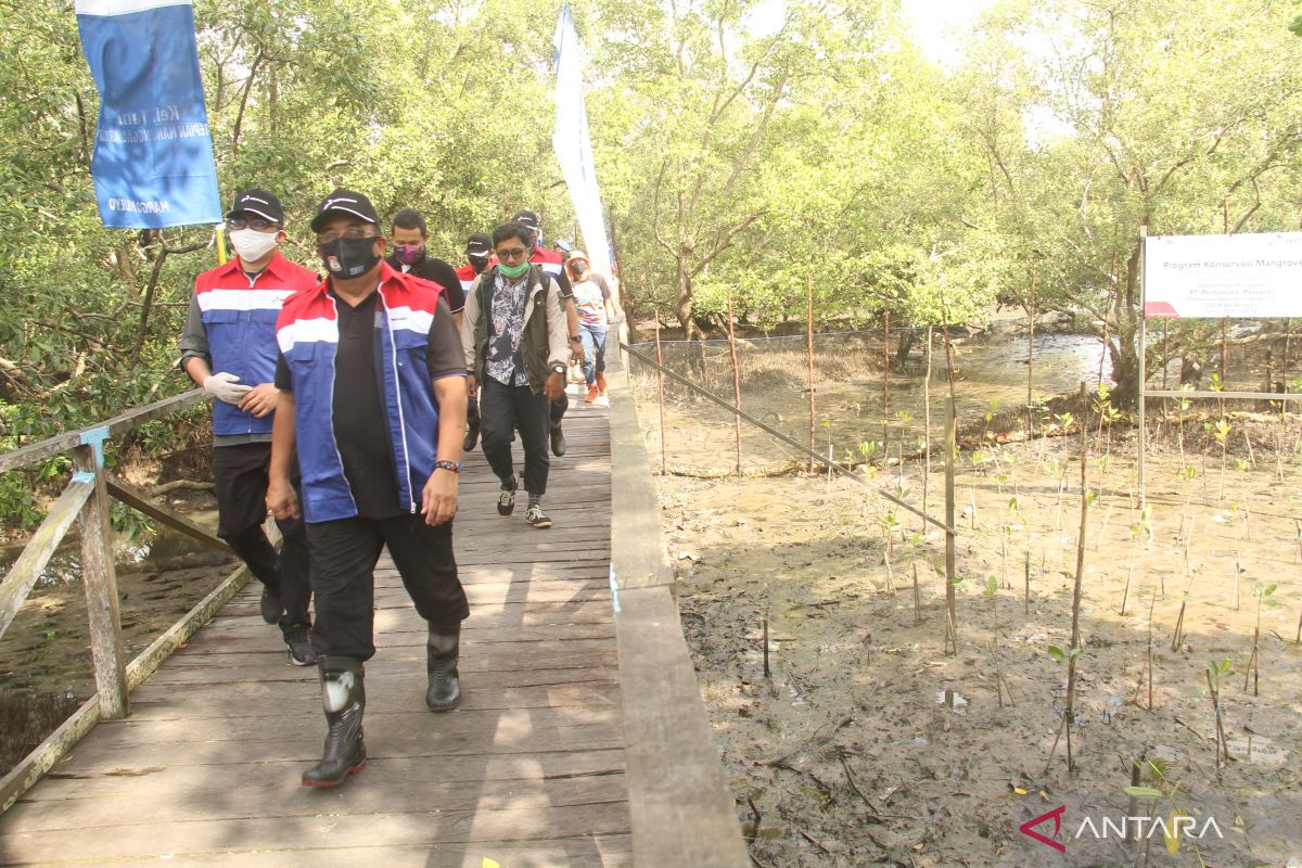 Ikut menanam mangrove jadi pengalaman mengesankan peserta Y20