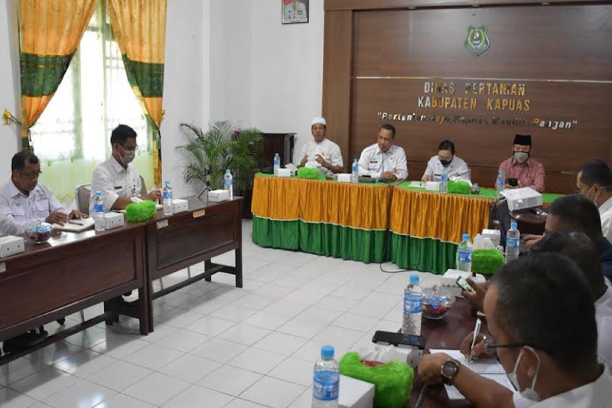 Jadi lumbung padi, DPRD dorong Kapuas miliki gudang penyimpanan beras