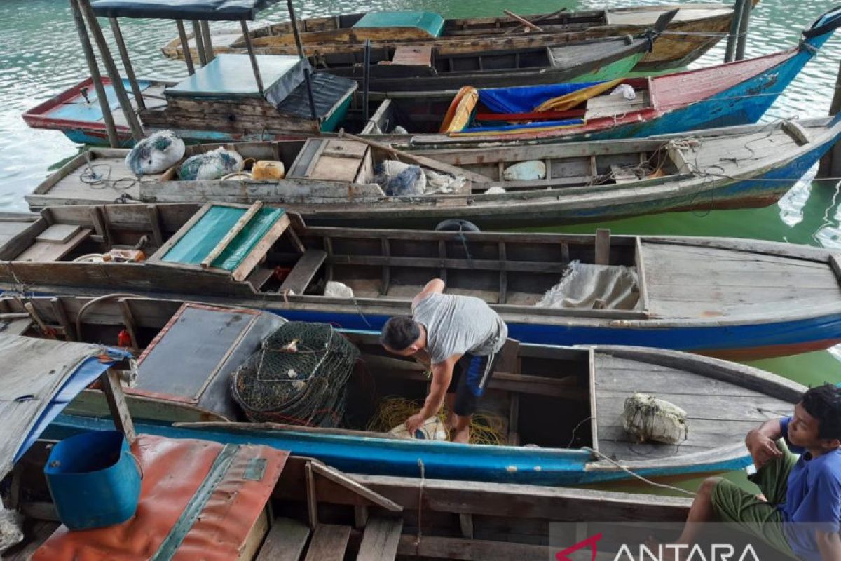 Bintan butuh tempat pelelangan ikan untuk tingkatkan PAD