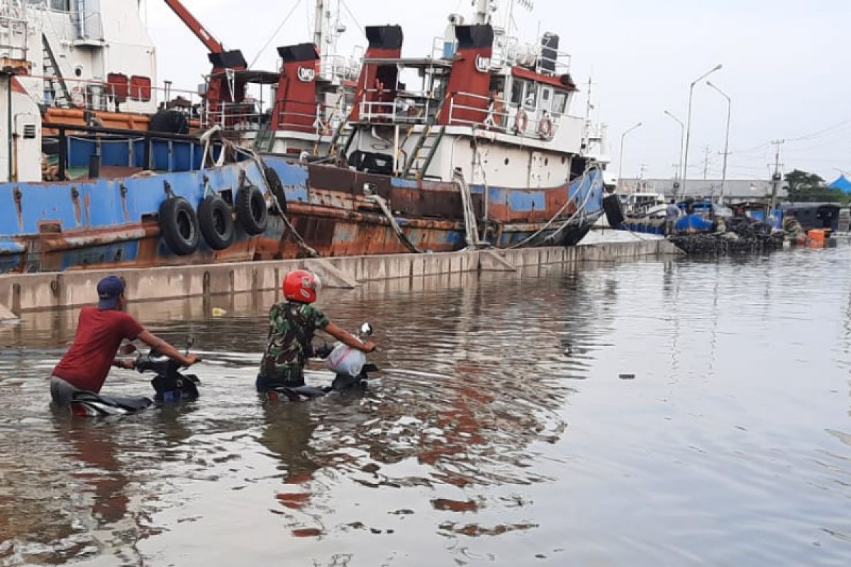 Banjir rob dua meter lebih landa pesisir Kota Semarang