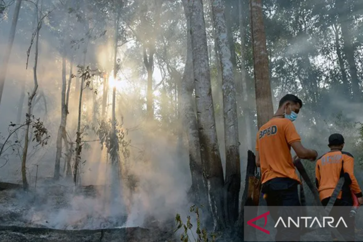 134 kecamatan se-Riau dipetakan rawan kebakaran hutan dan lahan