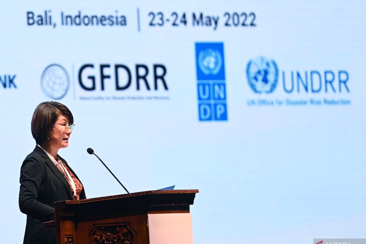 Perkuat aksi kebencanaan, UNDP andalkan kepemimpinan Indonesia G20