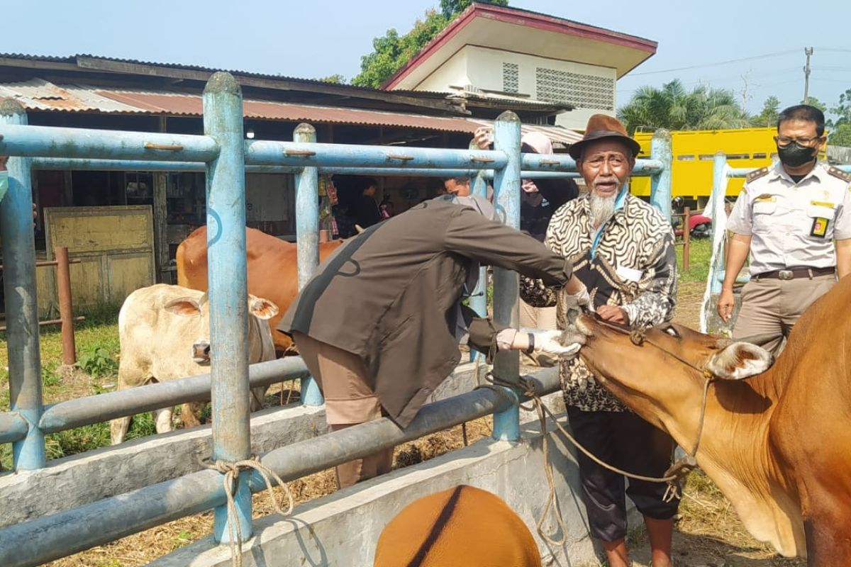 Balai Karantina Pertanian Jambi tingkatkan pengawasan lalu lintas hewan ternak