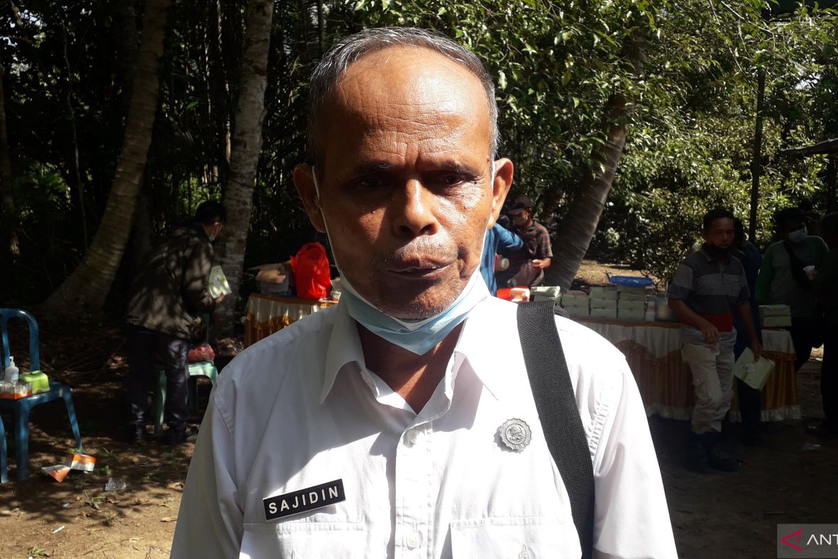 Sebanyak 752 sapi di Kabupaten Bangka Tengah suspek PMK