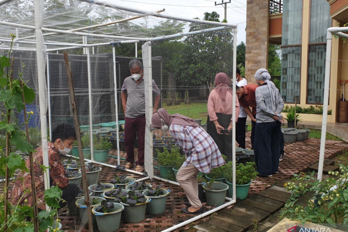 Wagub Sumsel ajak masyarakat sukseskan program mandiri pangan