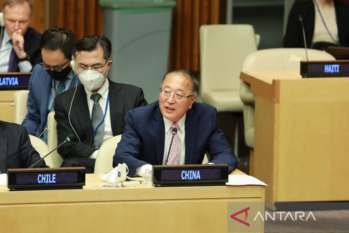 China dan UAE desak DK PBB adopsi resolusi tentang Palestina