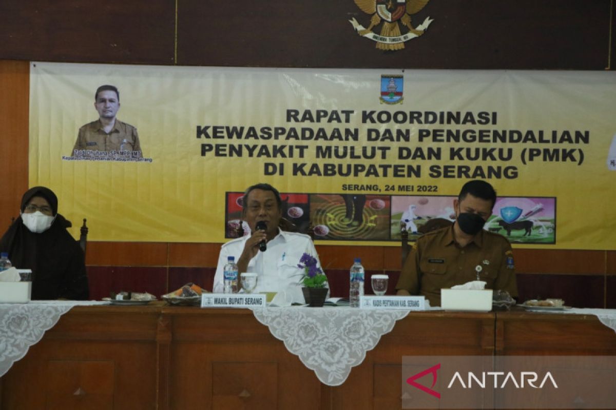 Pemkab Serang Segera Bentuk Satgas Penanganan Wabah PMK