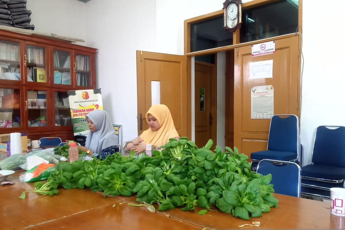 Dinas Pangan Kota Solok panen sayur hidroponik di pekarangan kantor