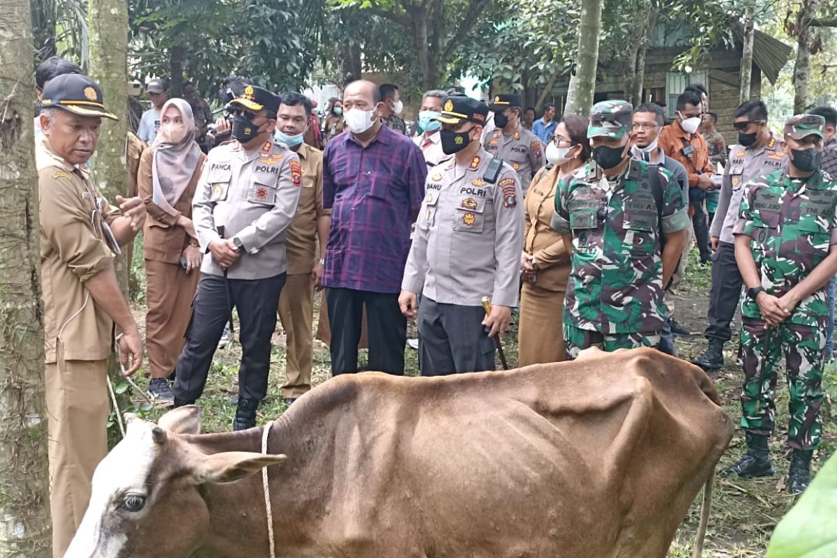 Plt Bupati tinjau sapi yang mengalami sakit diperbatasan