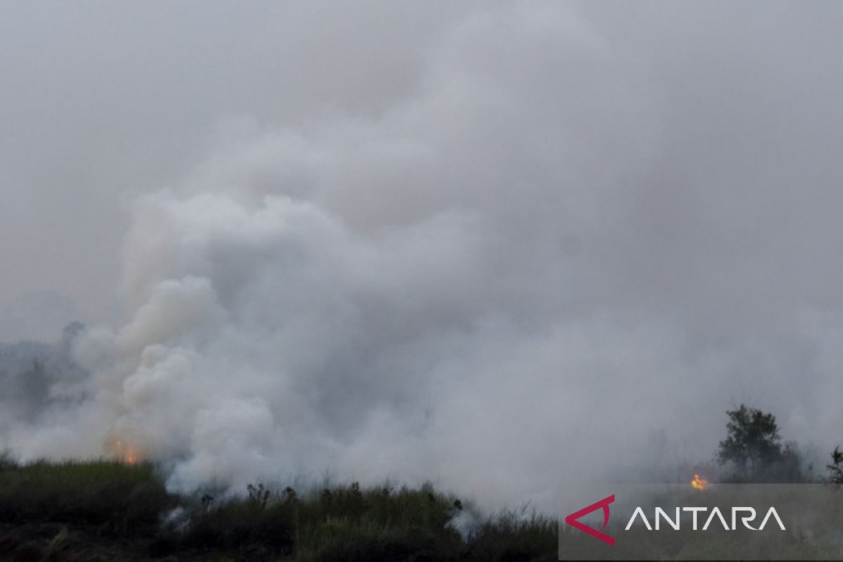 Mitigasi Karhutla pada puncak  musim kemarau di Sumsel