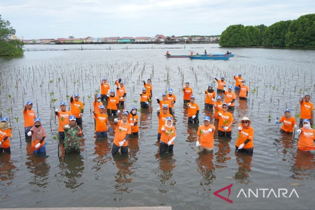 PKT tanam 1.500 bibit mangrove di Perairan Bontang untuk Hari Keanekaragaman Hayati Sedunia