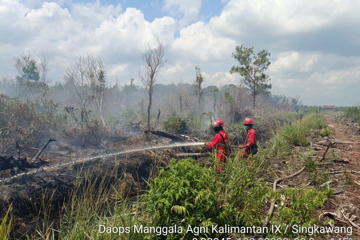 Lahan di Singkawang terbakar seluas 3,5 hektar