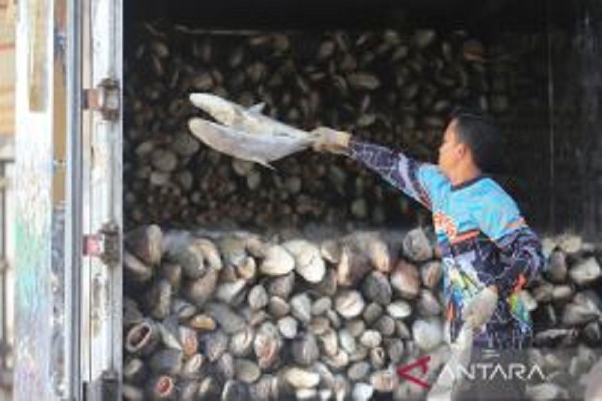 Pengamat kelautan nyatakan ekspor perikanan jangan bergantung pada produk mentah