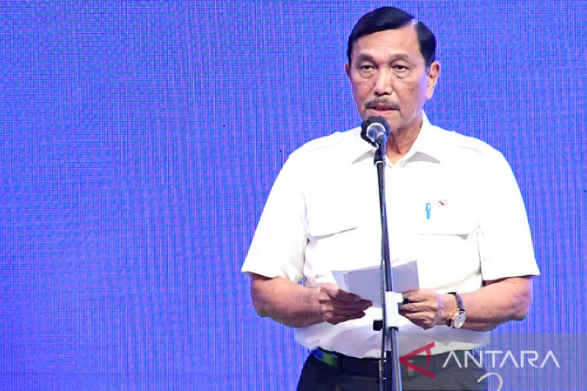 Luhut Pandjaitan tawarkan kawasan industri hijau ke Elon Musk