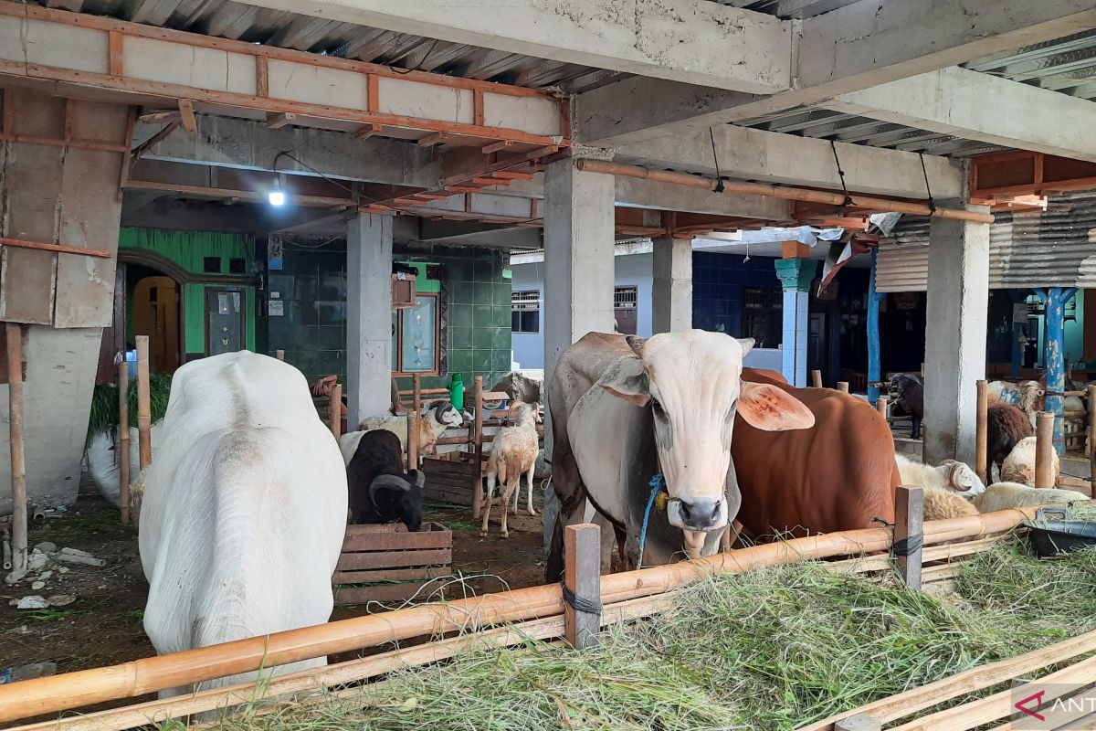 Pemkab Tangerang temukan lima sapi terkena penyakit PMK