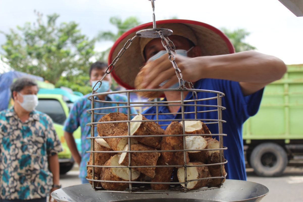 Pemprov Lampung siap geliatkan mocaf kurangi ketergantungan pada terigu