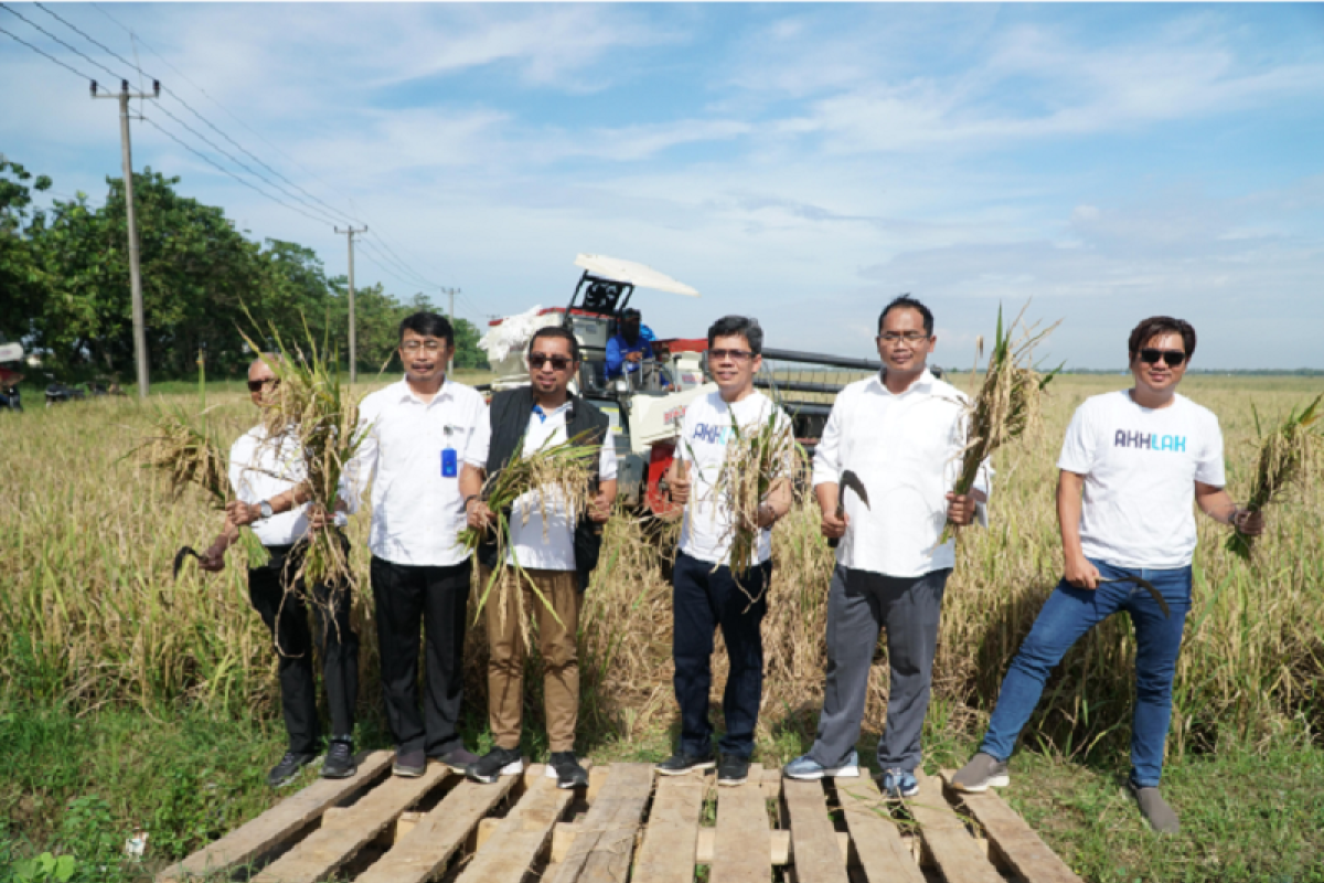 PT Sang Hyang Seri dan ID FOOD lakukan panen raya di lahan restorasi