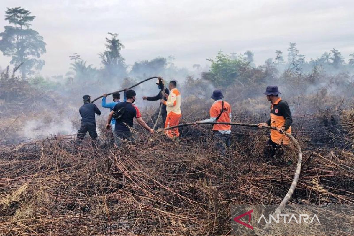 Tujuh hektare lahan gambut di Nagan Raya terbakar