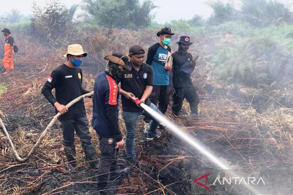 BPBD masih padamkan kebakaran lahan gambut di Nagan Raya