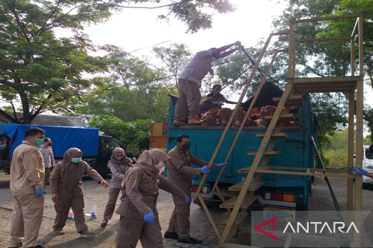 Badan Karantina Pertanian Bangkalan tolak masuknya sapi Jawa ke Madura