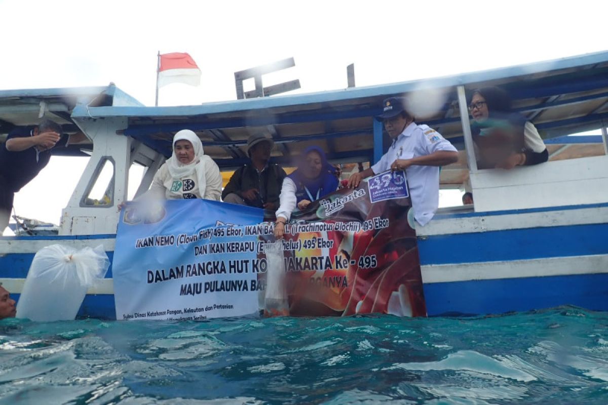 Hingga Mei, 4.000 benih ikan dilepas di perairan Kepulauan Seribu