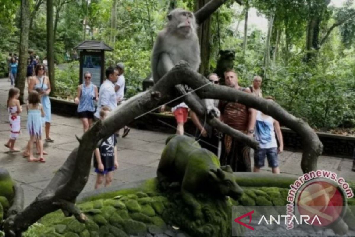 Kawasan Ubud siapkan pilihan wisata bagi peserta G20