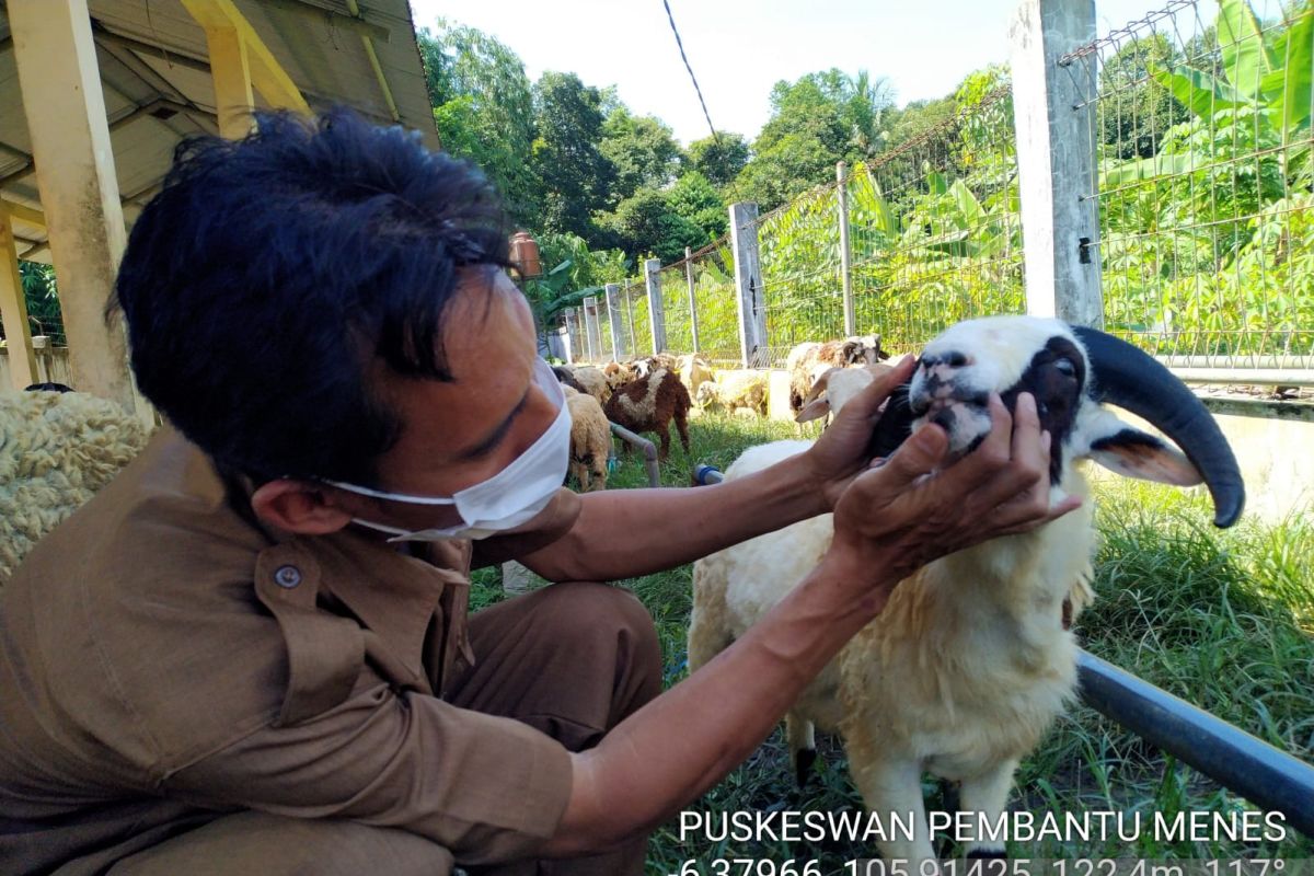 Warga Antusias Sambut Pelayanan Dokter Hewan Puskeswan Pembantu Menes