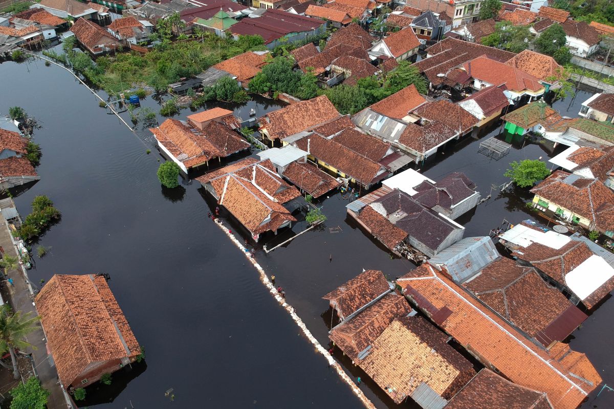 Komisi D DPRD minta Pemprov Jateng optimalkan penanganan banjir rob