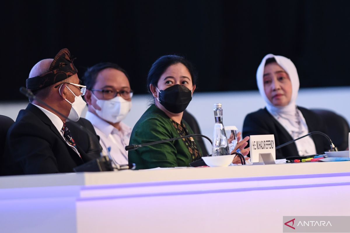 Ketua DPR RI dorong pelibatan perempuan dalam aksi kebencanaan