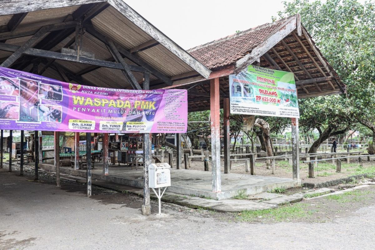 Pemkot Kediri tutup pasar hewan untuk antisipasi penyebaran PMK