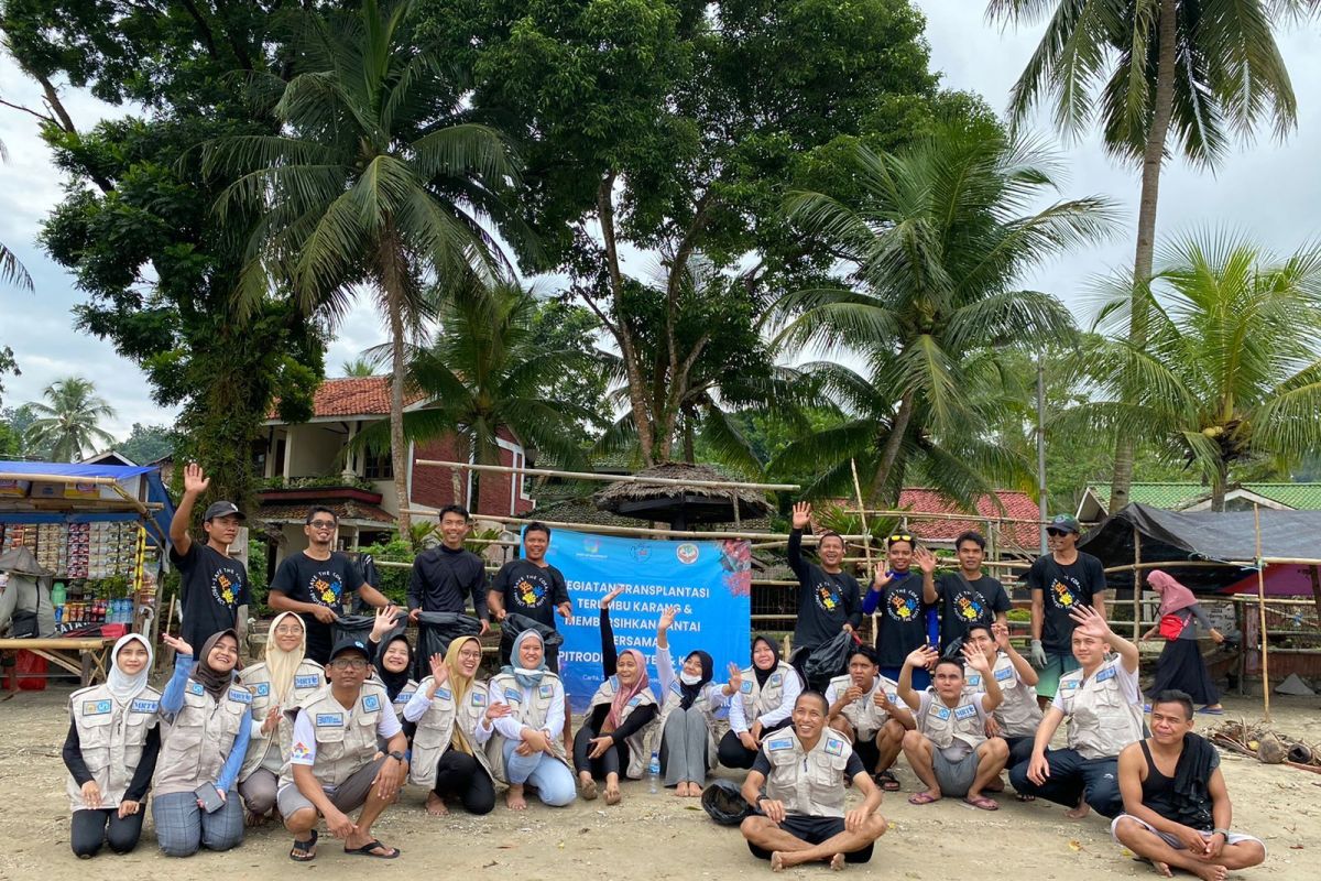 SOM JR Banten Gelar Transplantasi Terumbu Karang dan Bersih Pantai di Carita Pandeglang