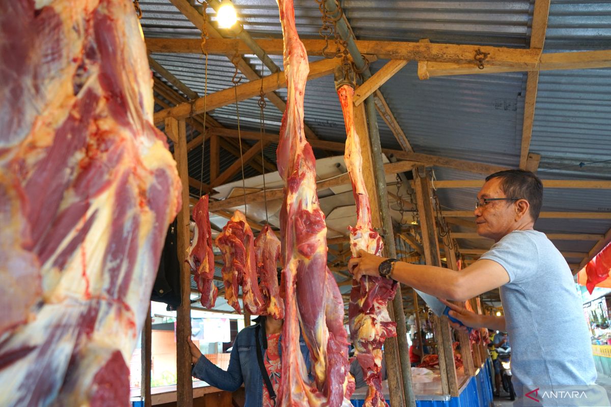 Penjualan daging sapi di Gorontalo tidak terdampak PMK ternak