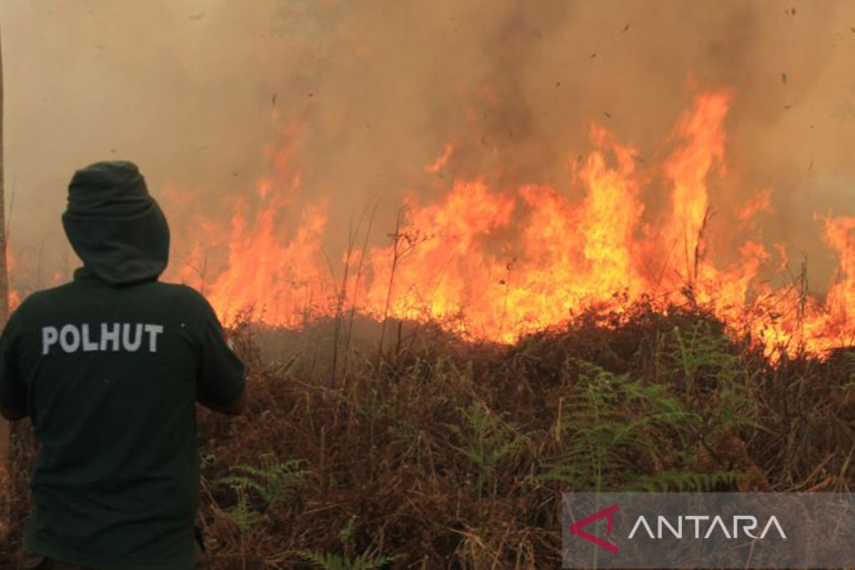 BMKG detects nine hotspots in Aceh