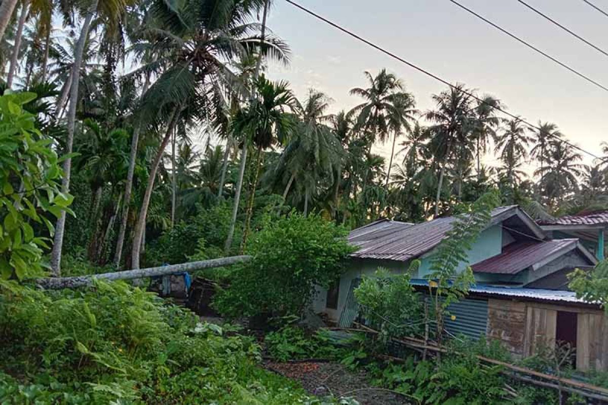 Cuaca buruk landa Simeulue, sejumlah rumah rusak ditimpa pohon