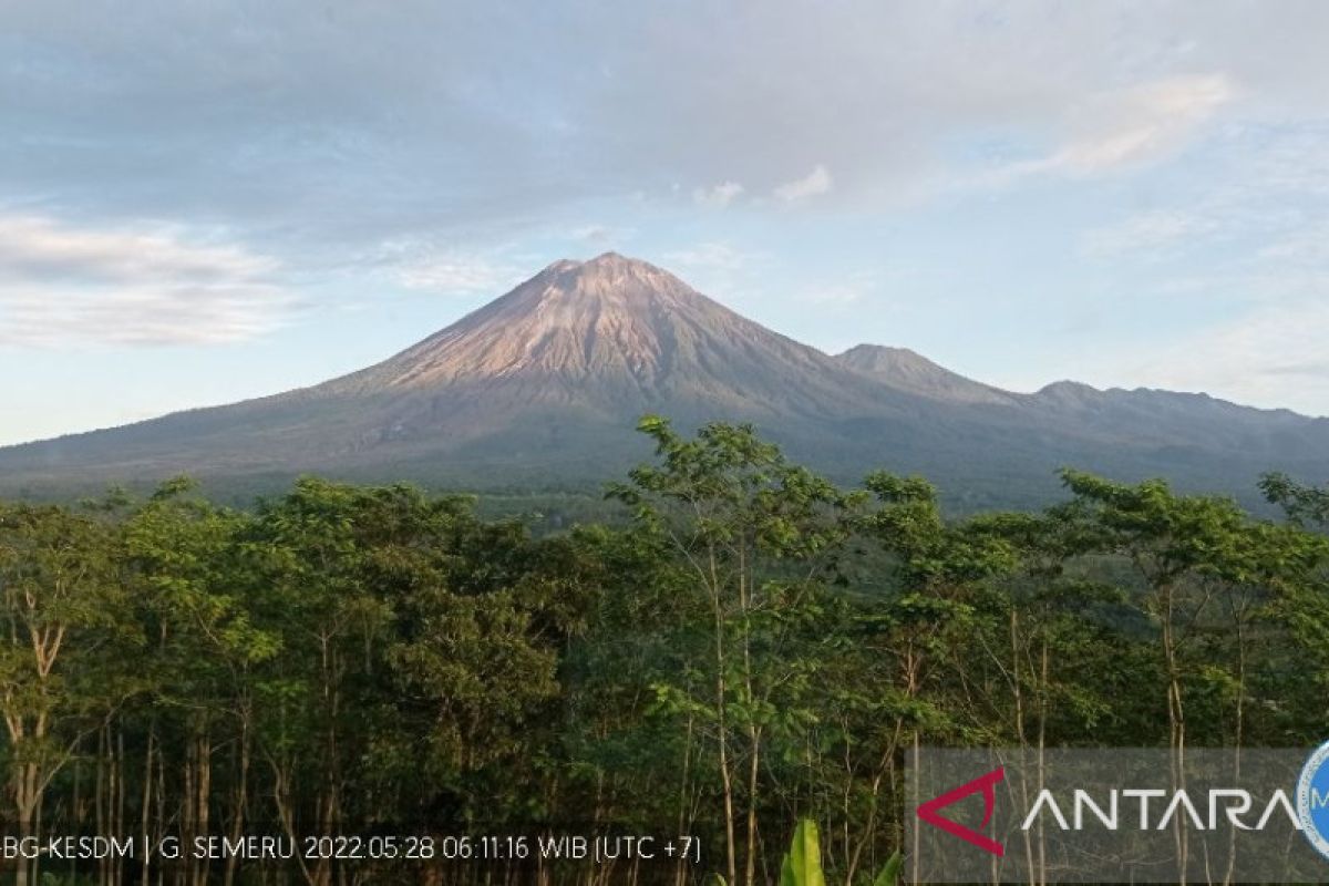 Gunung Semeru masih alami beberapa kali erupsi dan guguran