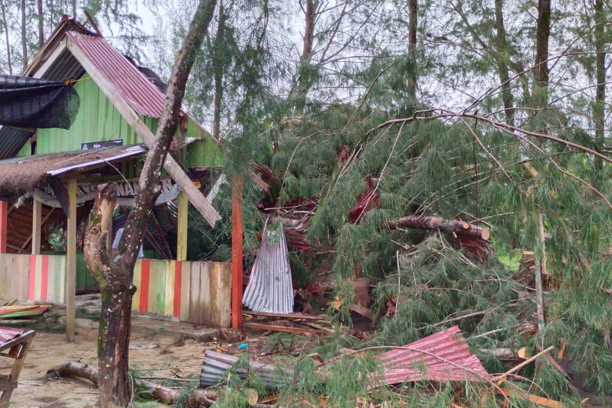 Dari pohon tumbang timpa warung sampai patahkan tiang listrik di Aceh Jaya