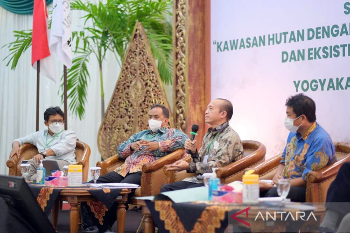 SP2P tolak penetapan kawasan hutan dengan pengelolaan khusus