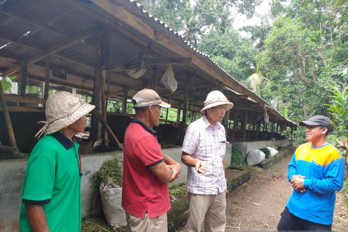 Anggota DPD motivasi para petani di Simantri Luwus-Tabanan