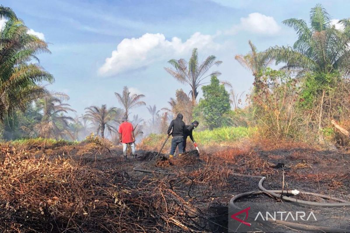 Kebakaran lahan gambut di Nagan Raya meluas mencapai 23 Hektare