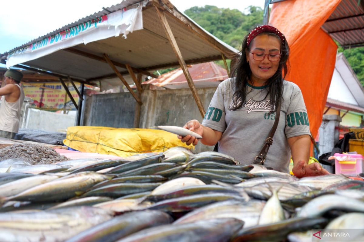 Harga ikan segar di TPI Gorontalo turun