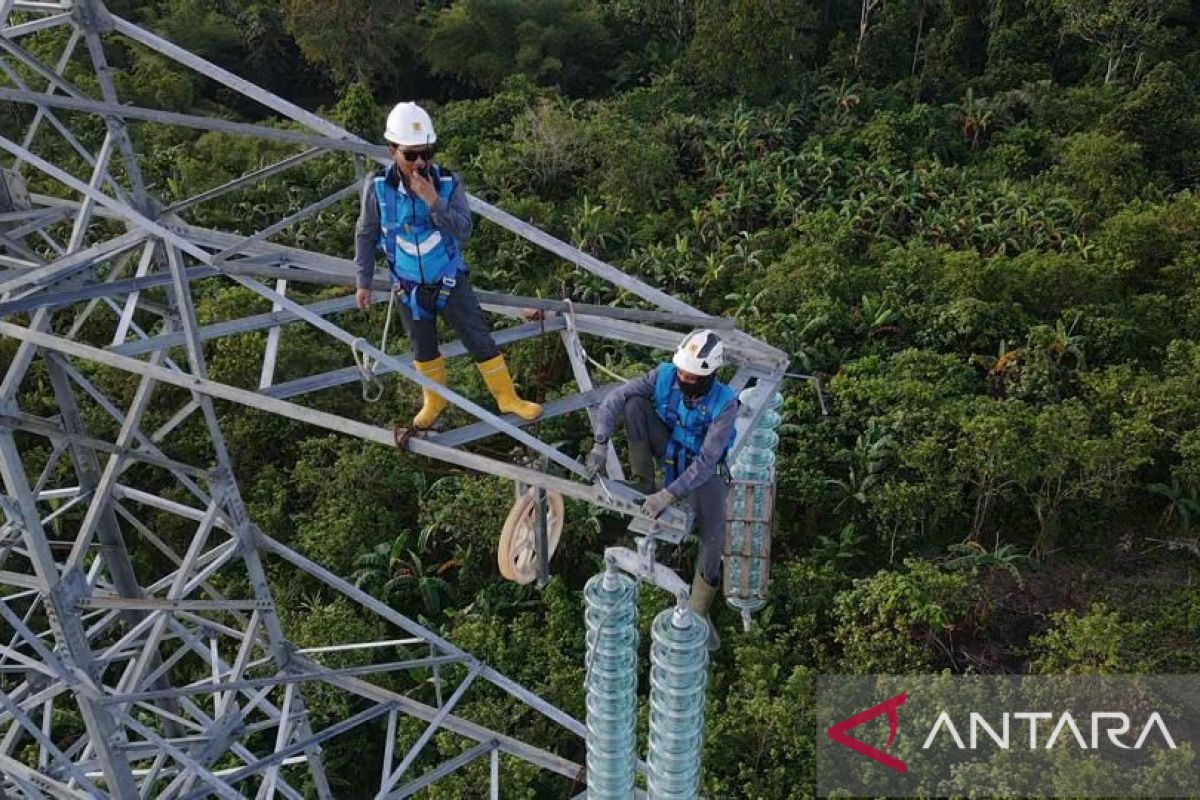 PLN selesaikan 11 proyek listrik skala besar di Papua