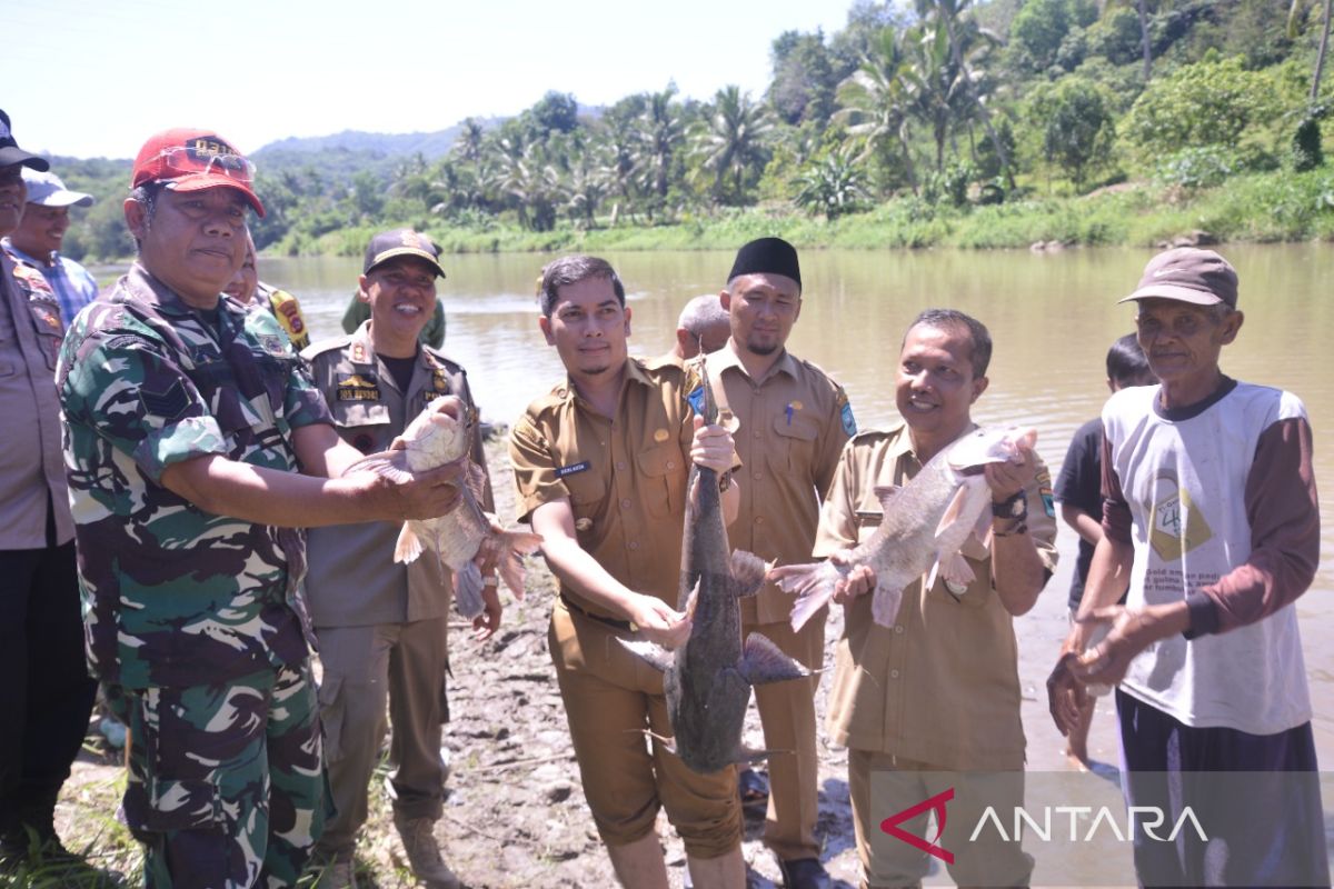 Pokmaswas Bersama Dusun Siambalau Sawahlunto panen ikan dari lubuk larangan