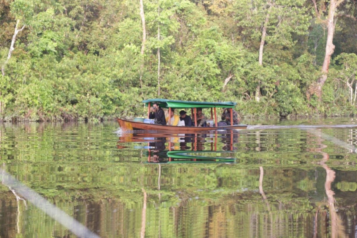 Tim pengendali ekosistem monitoring populasi bekantan di Kayong Utara