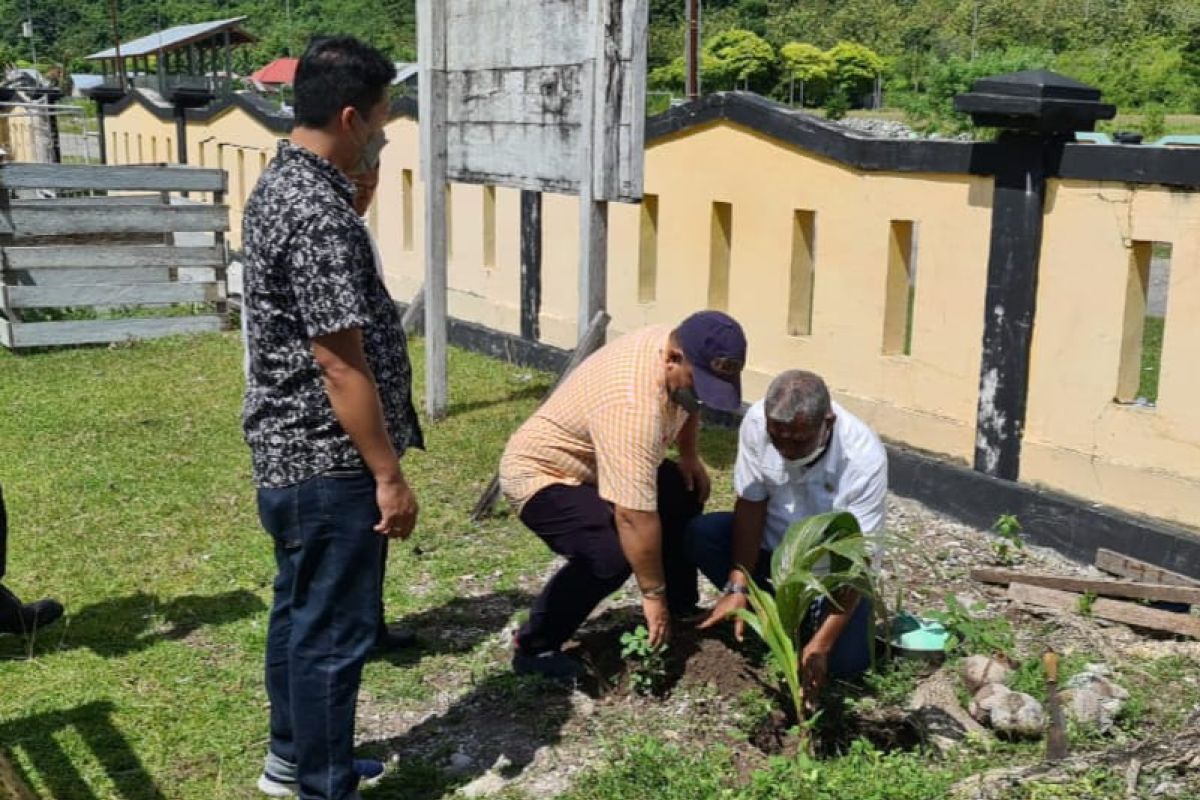 PLN dukung penghijauan di Kabupaten Buru Maluku